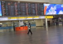 В московских аэропортах в четверг, 29 декабря, произошла массовая отмена и задержка рейсов