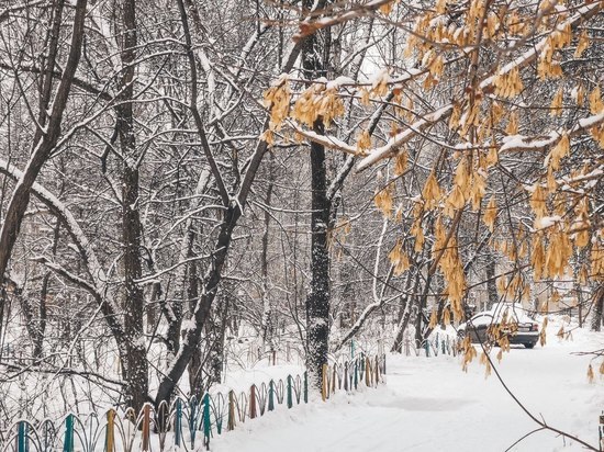Конкурс «Зимняя фантазия» по украшению дворов стартовал в Комсомольске