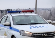 В Самарской области в результате двух ДТП погибли девять человек