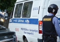 В Екатеринбурге сотрудники ФСБ задержали 21-летнего Дмитрия и 22-летнего Егора (оба имени изменены), которые пытались поджечь электроподстанцию «Панельная»