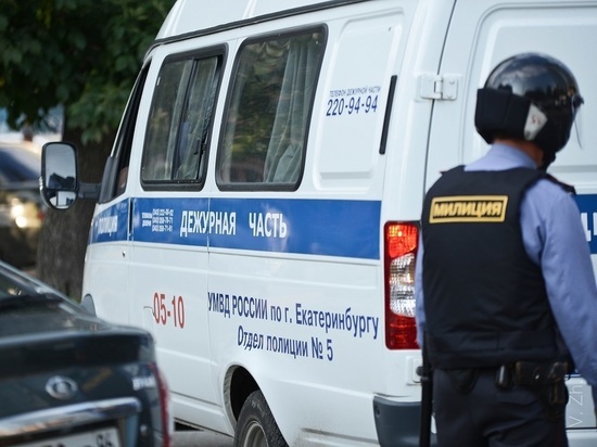 В Екатеринбурге задержаны молодые люди за подготовку к поджогу электроподстанции