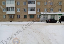 Накануне, утром 28 декабря, на улице Шахтёрской микрорайона Сокольники города Новомосковска, 70-летний мужчина за рулём автомобиля марки "Ford Focus" двигался задним ходом и сбил 73-летнюю женщину