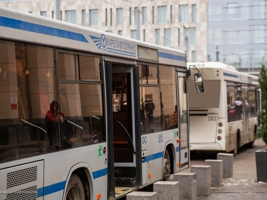 Появилось новогоднее расписание автобусов, курсирующих из Петрозаводска в Суоярви