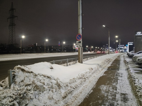 Новые фонари осветили Лесной проспект в Петрозаводске