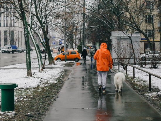 На Новый год в Подмосковье обещают дождь