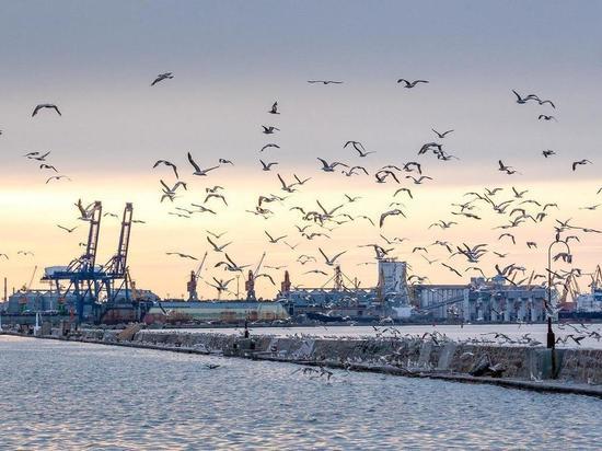 Foreign Policy: в украинских портах с начала СВО застрял 331 моряк