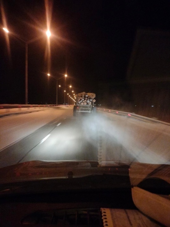 Полицейские Тувы  выявили факт незаконной рубки делового леса