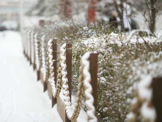 30 декабря в Волгоградской области ожидается мокрый снег при +5ºC