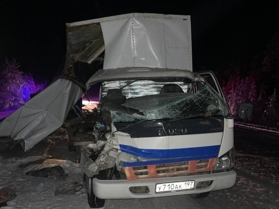 В ЯНАО большегруз протаранил грузовик с краном: погиб пассажир