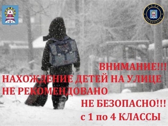 Младшеклассников Ноябрьска призвали не выходить на улицу из-за мороза