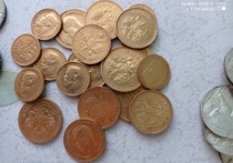 Жительнице села Соловьевска Борзинского района, которая весной 2021 года нашла 110 старинных золотых и серебряных монет, вернули часть из них после решения суда, а вторую часть передадут государству и выплатят компенсацию через специальную процедуру