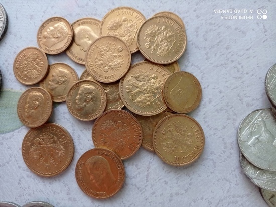 Нашедшей клад забайкалке после суда вернули часть старинных монет