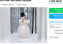 В Ингодинском районе Читы продаётся костюм снеговика за 2,5 млн рублей