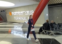 Не менее 20 рейсов в пятницу утром задержаны или отменены в связи со снегопадом и в преддверии новогодних праздников в трёх московских аэропортах - «Внуково», «Домодедово» и «Шереметьево», согласно сведениям сервиса «Яндекс
