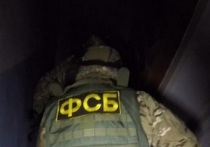 Федеральная служба безопасности РФ сообщила о задержании украинского мигранта на Северном Кавказе