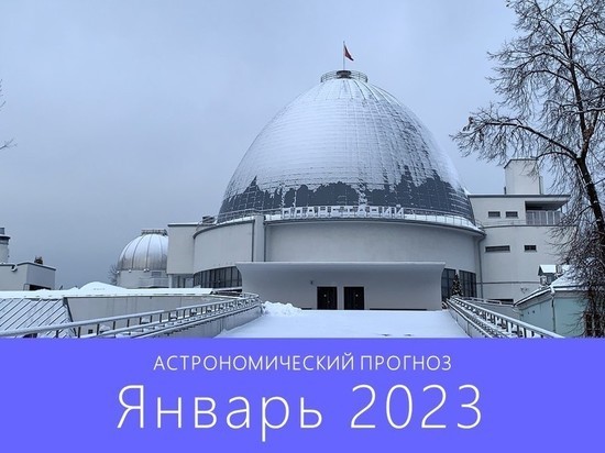 Рязанцы смогут увидеть новогодний звездопад в ночь на 4 января