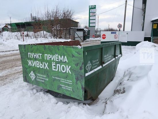 Татарстанцы в этом году не смогут сдать елки на переработку