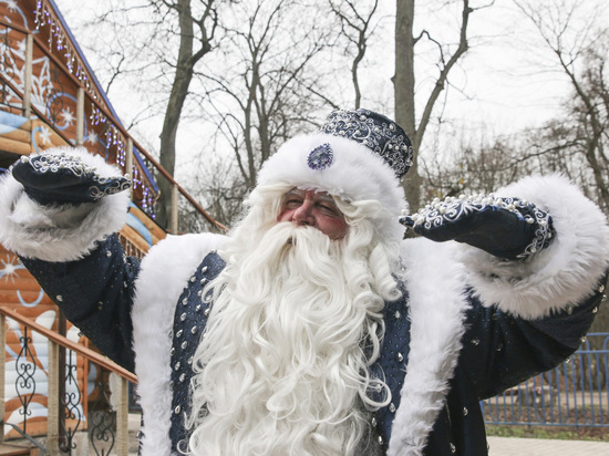 Дед Мороз пришел к детям из Чехова через окно