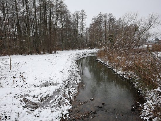 Завершена приемка работ по расчистке реки Каменки в Калининградской области