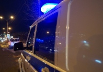 Два человека погибли в ДТП в Красноярском крае, которое произошло в результате столкновения грузовиков «Скания» и «КамАЗ», а также легкового автомобиля «Хонда»