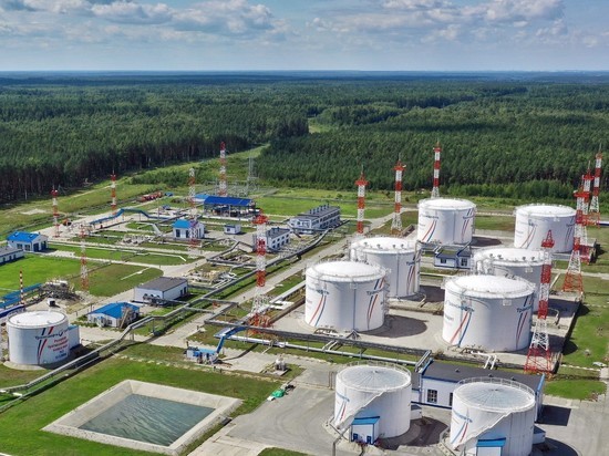 На производственных объектах АО «Транснефть–Верхняя Волга» в 2022 году выполнено 35 тысяч экологических исследований