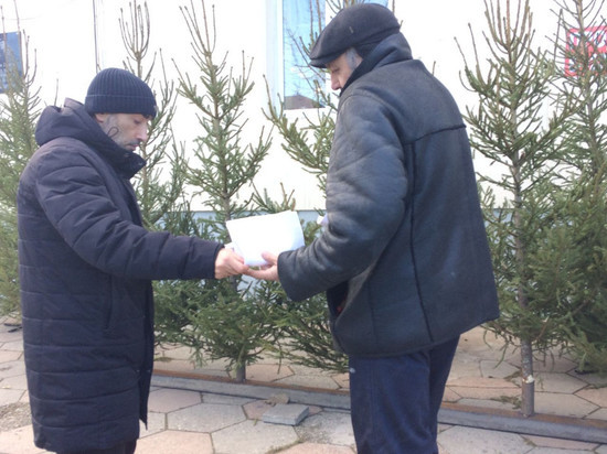 В Дагестане проводят рейды на предмет незаконной продажи елок