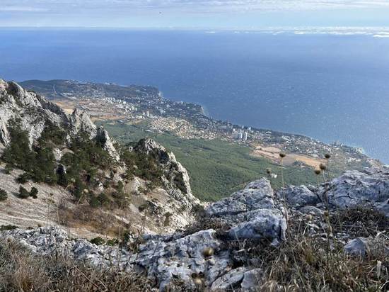 В Крыму почти вдвое снизился уровень безработицы