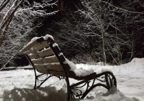 В большинстве районов Забайкалья 31 декабря осадков не прогнозируется, но на севере края ночью местами пройдет небольшой снег