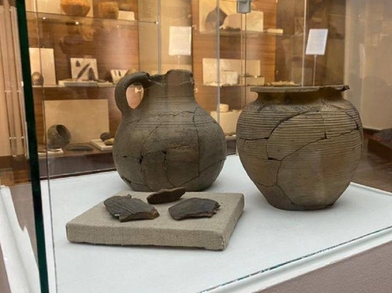 В 2022 году археологи из Волгограда передали в музеи более 1300 предметов