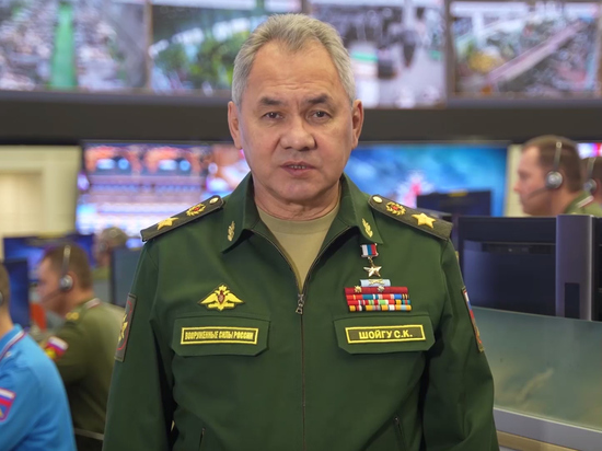 Шойгу в новогоднем поздравлении военнослужащих заявил о неотвратимости победы