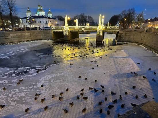 Главный синоптик Петербурга подвел температурные итоги 2022-го