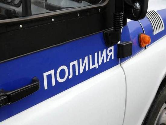 В Великом Новгороде полицейские проводят профилактические беседы со школьниками и поздравляют их с Новым годом
