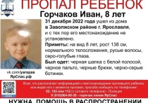 В Ярославле разыскивают 8-летнего Ивана Горчакова