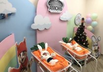 В последние дни этого года младенцев в областном перинатальном центре Александро-Мариинской больницы выписывали в костюме зайчика