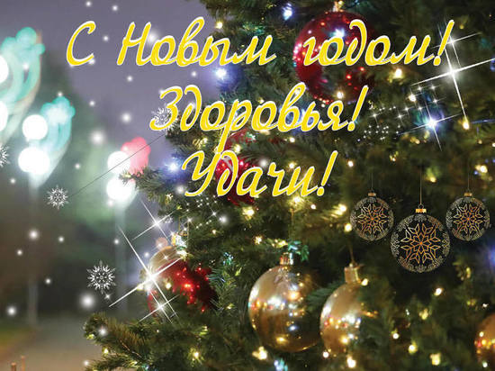 «МК в Волгограде» поздравляет читателей с наступающим Новым годом