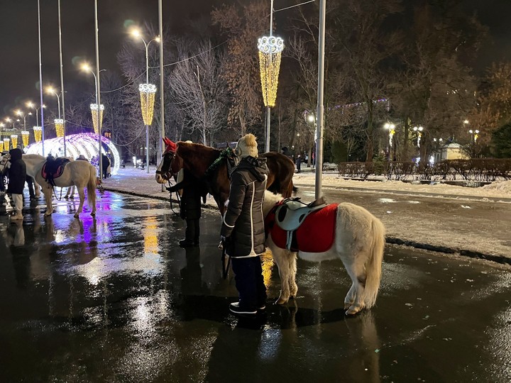 Саратов 2025 Фото