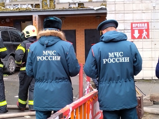 В Омской области в прошлом году при пожарах погибло 130 человек