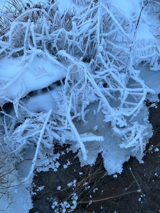 Сильное похолодание придет в Тверскую область к Рождеству: температура опустится до -30 градусов