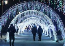 Отпраздновать новогодние праздники на остров Русский приезжают жители Московской области и других регионов страны