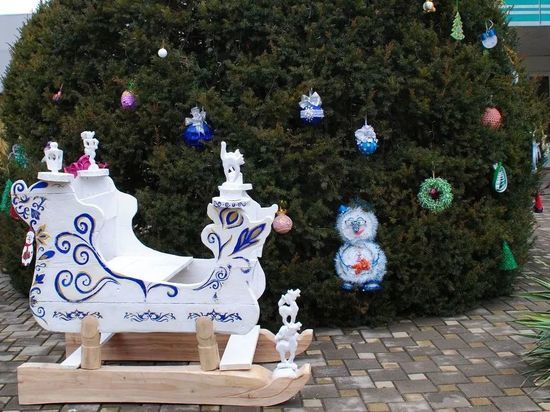 В Донецком ботаническом саду открылись новогодние локации