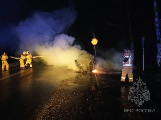 Пожарные потушили горящий автомобиль в Сольцах