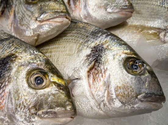 МЧС призывают жителей Поморья соблюдать правила безопасной зимней рыбалки
