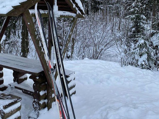 Жителям Ленобласти рассказали о самых популярных экомаршрутах с лыжными трассами