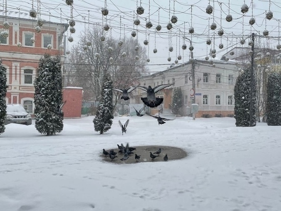 2 января Рязанской области выпустили метеопредупреждение из-за ветра