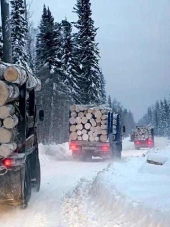 Костромская область снабжает лесом Ленинградскую область и Карелию