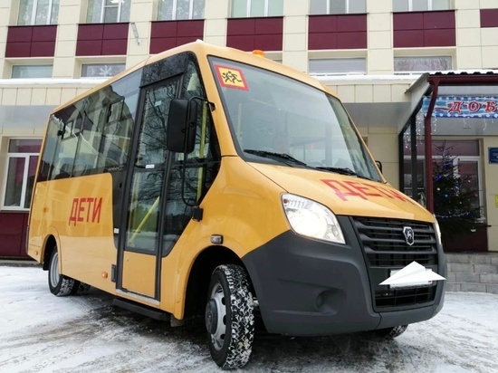 В школы Ленобласти закупили больше 20 новых автобусов