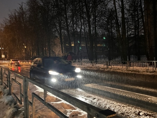 Жителей Тверской области предупредили о сильном дожде 3 января