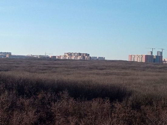 Синоптики 3 января обещали жителям Ставрополя аномально тёплый день