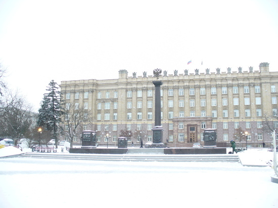 Москвичка попросилась к белгородскому губернатору в замы за символическую плату