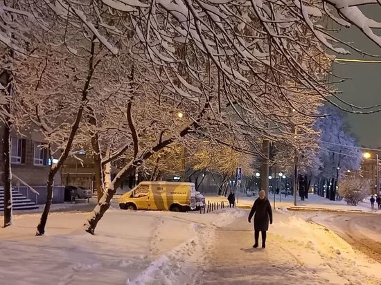 Снегопад в Москве не закончится до среды — синоптики